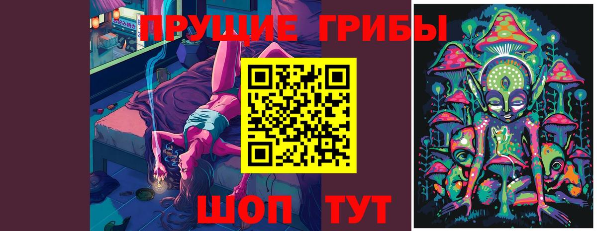 Красноуфимск  Галлюциногенные грибы прущие грибы  Псилоцибиновые грибы Cubensis  Вход с VPN 